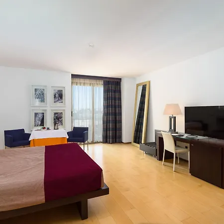 Grand Tiziano E Dei Congressi Otel