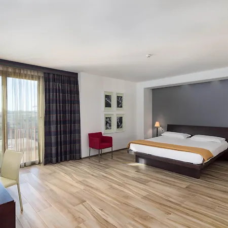 Otel Grand Tiziano E Dei Congressi 4*