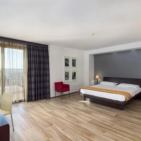 Otel Grand Tiziano E Dei Congressi 4*